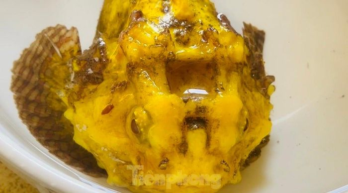 Thấy cá đẹp nên anh Hậu chụp hình đăng lên mạng xã hội. Nhiều người chơi cá cảnh bày tỏ sự thích thú với con cá này. Theo anh Hậu, có người hỏi mua với giá 5 triệu đồng nhưng anh Hậu chưa có ý định bán mà để nuôi. (Ảnh: Tiền phong)