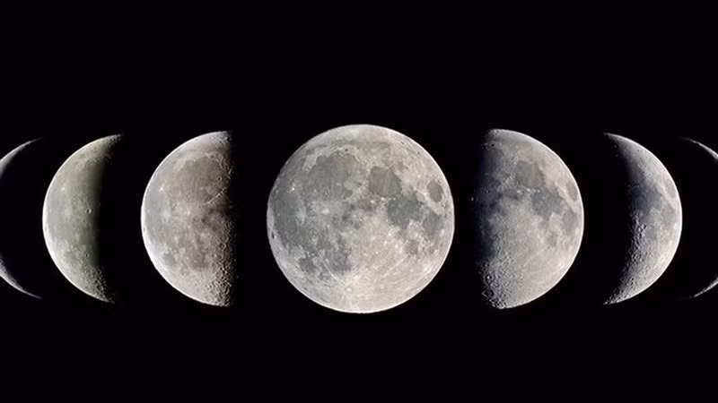 Dựa trên tính toán thông qua các mô hình lập từ dữ liệu đã biết về vùng không gian xa xôi nơi rìa hệ Mặt Trời, họ cho rằng hành tinh thứ 9 phải có đến 20 mặt trăng.