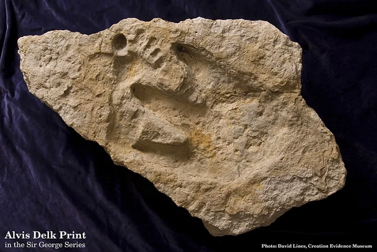 Bên cạnh đó, cũng có một số mẫu dấu chân hóa thạch của con người và khủng long được tìm thấy trong lớp đá cổ, mà các nhà khảo cổ không thể chứng minh chúng là giả.