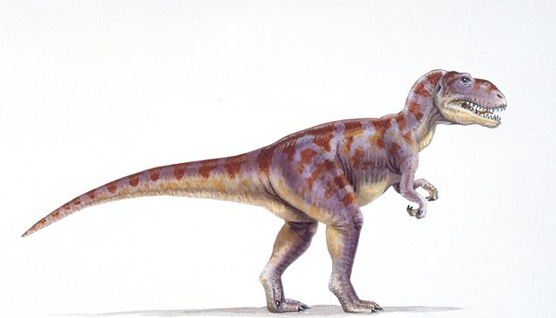 Kích thước của dấu chân cho thấy con khủng long có lẽ là một con Megalosaurus, với chiều cao tính đến hông từ 2,4 mét đến 2,7 mét.