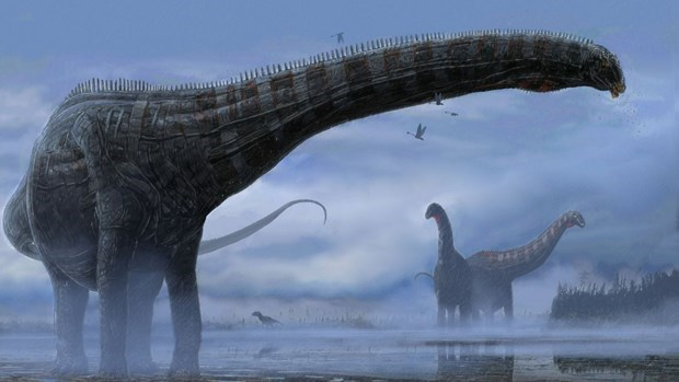 Những phát hiện này đến từ khoảng 25 nhóm khủng long khác nhau, cho thấy một hệ sinh thái động vật đa dạng sống trong khu vực từ 175 đến 160 triệu năm trước. Tất cả các dấu vết do khủng long đi, chạy và bơi đều đã được tìm thấy.