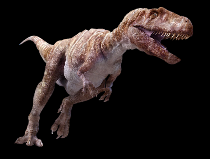 Megalosaurus là loài khủng long Theropod ăn thịt đã được mô tả từ rất sớm, tận năm 1824 bởi nhà tự nhiên học người Anh, William Buckland và được xác định từng sống vào giữa kỷ Jurassic ở miền Nam nước Anh cách đây 166 triệu năm.