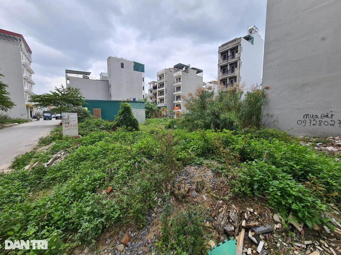 Het Tet, nha dau tu ruc rich di gom dat-Hinh-2