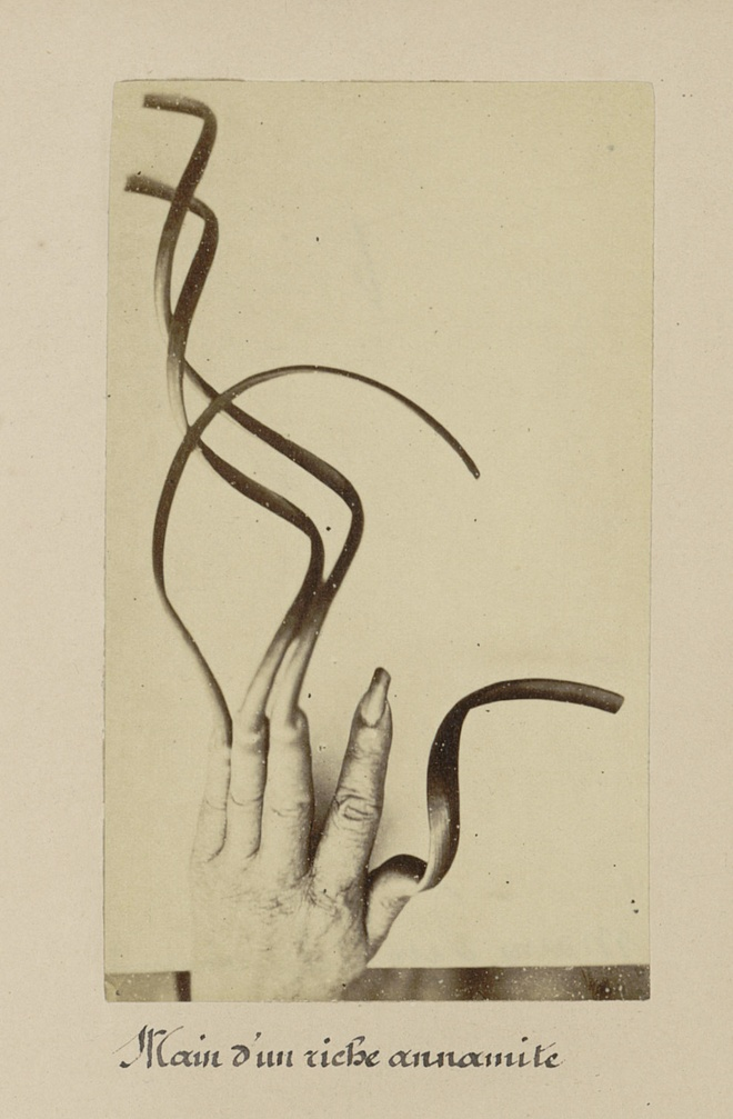 Hình ảnh bàn tay của một người An Nam giàu có. Quan niệm của người xưa về sự quyền quý, cao sang là người không phải “động chân, động tay”, tức mọi việc nặng nhọc đều sai khiến người khác. Do đó những móng tay để dài đến mức nó cuộn tròn khiến bàn tay khó có thể cầm nắm hoặc làm việc gì nặng nhọc là cách thể hiện quan niệm và địa vị của mình