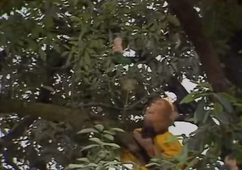 Tay áo thần của ai khiến Tôn Ngộ Không phải cúi đầu khuất phục? Tay ao than cua ai khien Ton Ngo Khong phai cui dau khuat phuc?