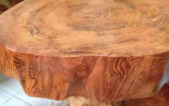 Theo giới chơi đồ gỗ sành sỏi, gỗ du sam có đường vân tuyệt đẹp, mùi thơm nhẹ nên giá thành cao, chuyên dùng để làm đồ nội thất xa xỉ. Chính vì lẽ đó, số lượng gỗ du sam trước giờ luôn có nguy cơ cao bị các đối tượng lâm tặc nhòm ngó, cưa hạ để kiếm lợi nhuận.