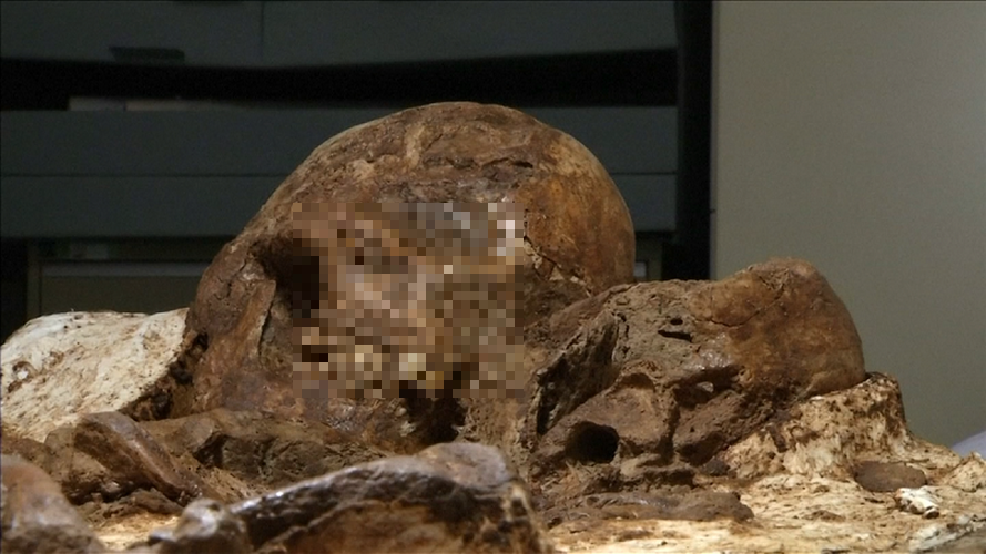 Người Dabenkeng là những nông dân đầu tiên ở Đài Loan, họ có thể đến từ các bờ biển phía nam và đông nam của Trung Quốc cách đây khoảng 5.000 năm.