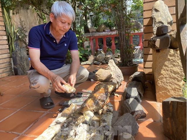 Phần lớn các mẫu hóa thạch cổ được sưu tầm ở vùng Krông Nô (Đắk Nông) - nơi có hang động núi lửa dài nhất Đông Nam Á. (Ảnh: Tiền phong)