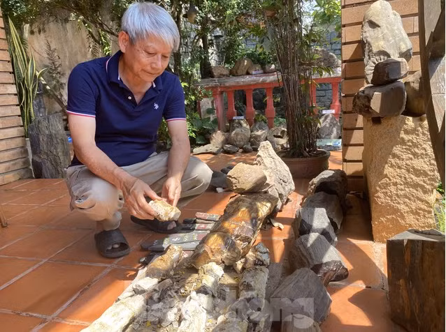 Phần lớn các mẫu hóa thạch cổ được sưu tầm ở vùng Krông Nô (Đắk Nông) - nơi có hang động núi lửa dài nhất Đông Nam Á. (Ảnh: Tiền phong)