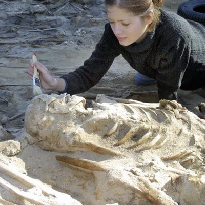 Bộ được tìm thấy trong khu mộ được mệnh danh “Pompeii của phương Đông”, được xác định có niên đại từ thời đồ đồng.