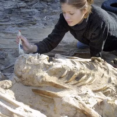 Bộ được tìm thấy trong khu mộ được mệnh danh “Pompeii của phương Đông”, được xác định có niên đại từ thời đồ đồng.