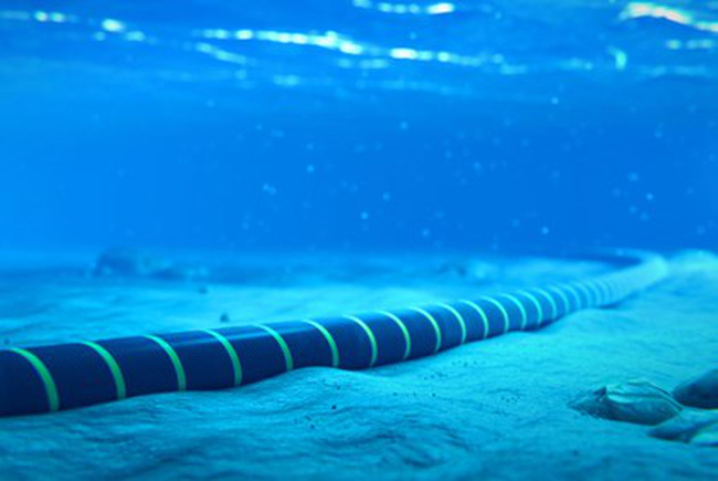 Ngay sau khi phát hiện các sự cố cáp biển, các ISP tại Việt Nam đều đã khẩn trương triển khai phương án dự phòng, chuyển lưu lượng kết nối quốc tế sang các tuyến cáp biển SMW3 cũng như các tuyến cáp đất liền khác.