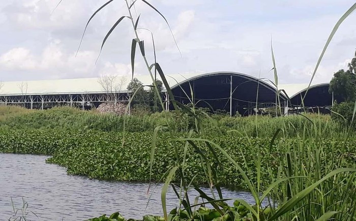 Hon 300 thai nhi o nha may rac Ca Mau: Tin 'chua co co so'