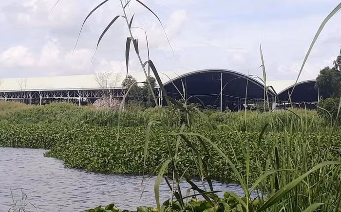 Hon 300 thai nhi o nha may rac Ca Mau: Tin 'chua co co so'