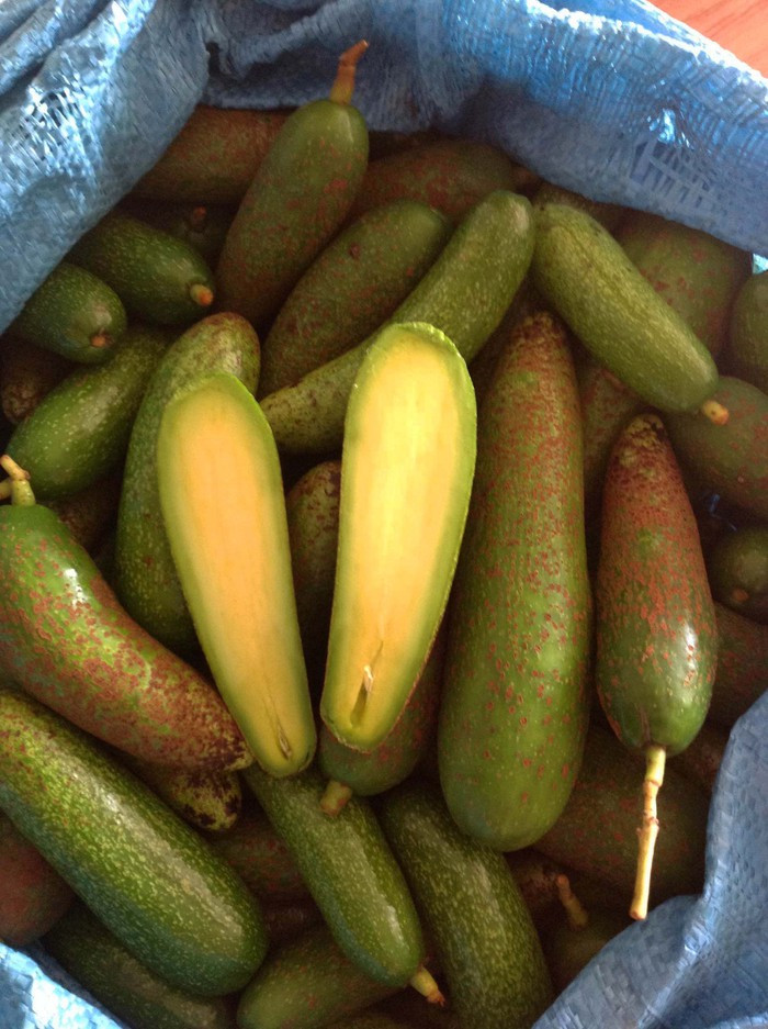 9 loai trai cay khong hat tung 'lam mua lam gio' cho thu loi 'khung'-Hinh-2