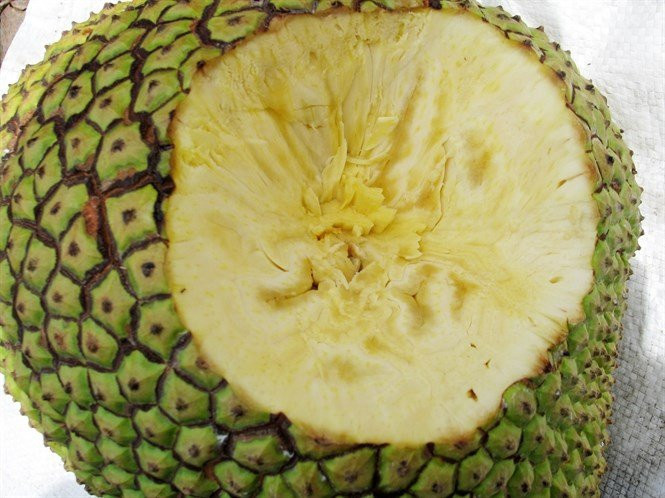 9 loai trai cay khong hat tung 'lam mua lam gio' cho thu loi 'khung'-Hinh-6