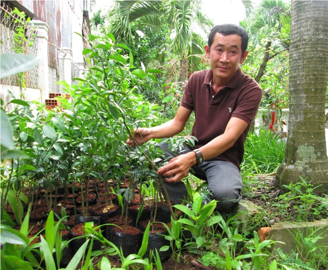 9 loai trai cay khong hat tung 'lam mua lam gio' cho thu loi 'khung'-Hinh-4