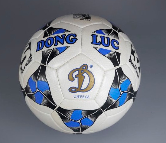 Bi chay lan vu Rang Dong , Cty The thao Dong Luc tung lam an the nao?-Hinh-2