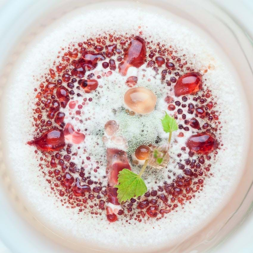 Món tráng miệng hấp dẫn: Khi một cây tăng trưởng trong ống nghiệm, nó dễ bị nhiễm nấm, mốc hay vi khuẩn từ môi trường xung quanh. Đôi khi, sự sinh sản của những loài ký sinh này lại tạo nên những hình dạng xinh đẹp, óng ả. Như trong hình, mốc bao quanh một cây nho nhỏ đã tạo hình một chiếc bánh hột lựu ngon lành.