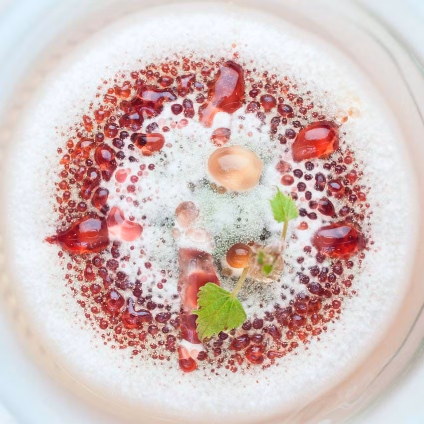 Món tráng miệng hấp dẫn: Khi một cây tăng trưởng trong ống nghiệm, nó dễ bị nhiễm nấm, mốc hay vi khuẩn từ môi trường xung quanh. Đôi khi, sự sinh sản của những loài ký sinh này lại tạo nên những hình dạng xinh đẹp, óng ả. Như trong hình, mốc bao quanh một cây nho nhỏ đã tạo hình một chiếc bánh hột lựu ngon lành.