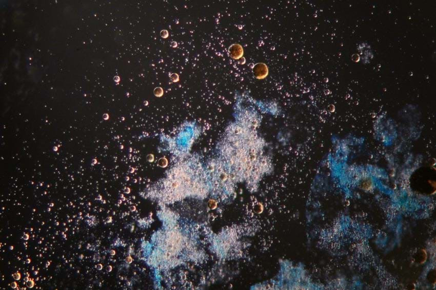 Thiên hà đại dương: Ảnh thiên hà trên được chụp bởi kính viễn vọng? Không, đây là ảnh chụp đáy biển, với những chất polymere do các vi sinh vật biển bài tiết.