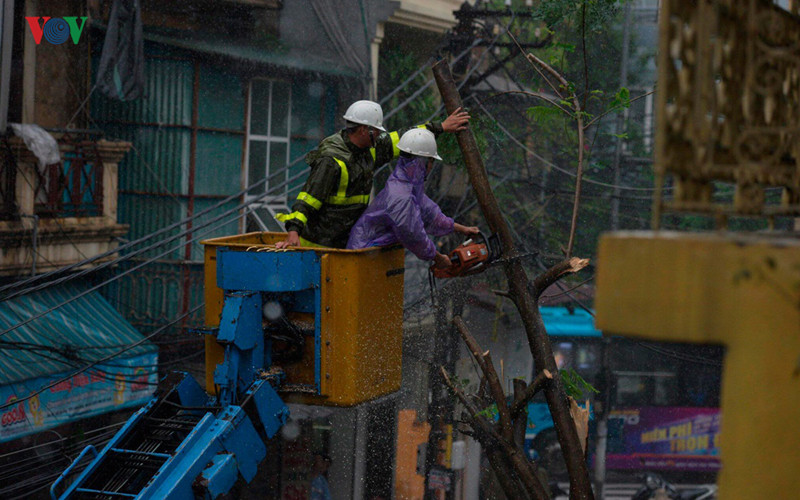 Xử lý cây đổ ở đối diện số nhà 13, phố Lãn Ông.