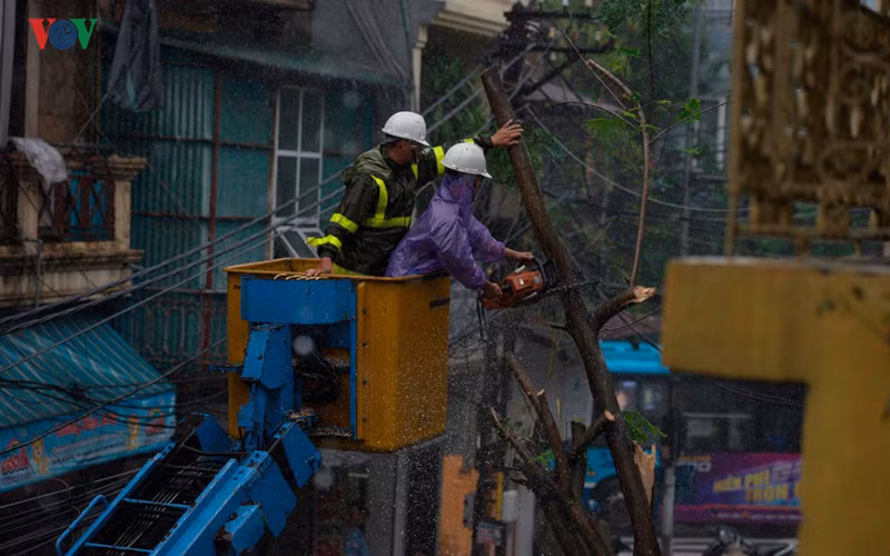 Xử lý cây đổ ở đối diện số nhà 13, phố Lãn Ông.