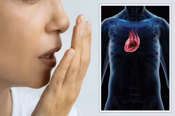 Vi khuan gay hoi mieng lam tang nguy co mac benh tim?