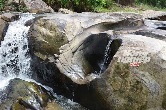 Trái tim Ông Đồ hóa đá.