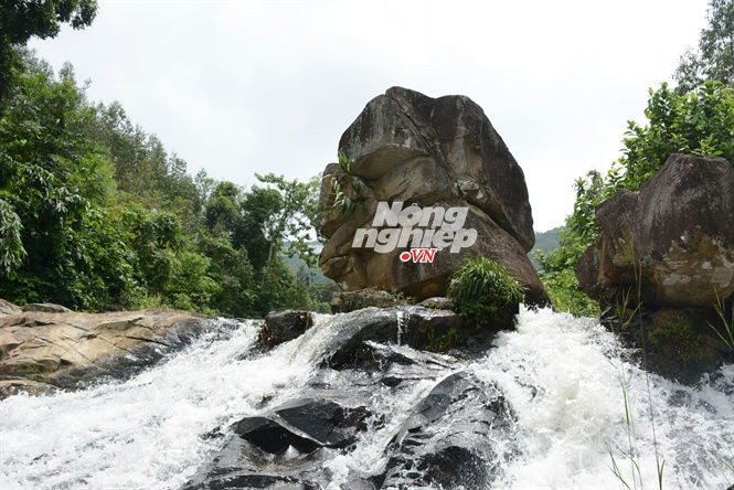 Tảng đá nơi Ông Đồ tế trời đất, người dân gọi là Đàn Trời.