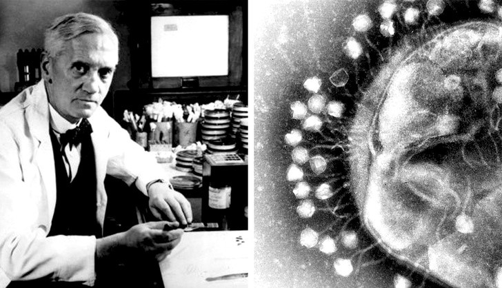 Thuốc kháng sinh: Trước kỳ nghỉ hè năm 1928, nhà sinh vật học người Scotland Alexander Fleming chỉ xếp các mẻ cấy vi khuẩn tụ cầu trong góc phòng thí nghiệm mà không dọn dẹp chúng. Khi trở về nhà, ông mới phát hiện một mẻ cấy đã bị mốc. Kiểm tra dưới kính hiển vi, ông ngạc nhiên khi thấy mốc đã ngăn chặn sự sinh sôi của vi khuẩn. Sau một thời gian nghiên cứu, ông xác định loại nấm mốc này thuộc họ Penicillium, sau đó đặt tên cho chất tiết ra chính là penicillin. Nhờ tính đãng trí của Fleming, chúng ta đã có thuốc kháng sinh ngày nay.