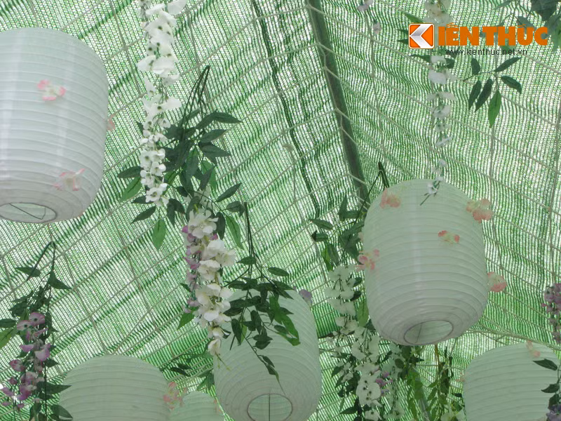 ....hoàn toan là hoa giả được móc treo tạm bợ trên khung thép èo uột.