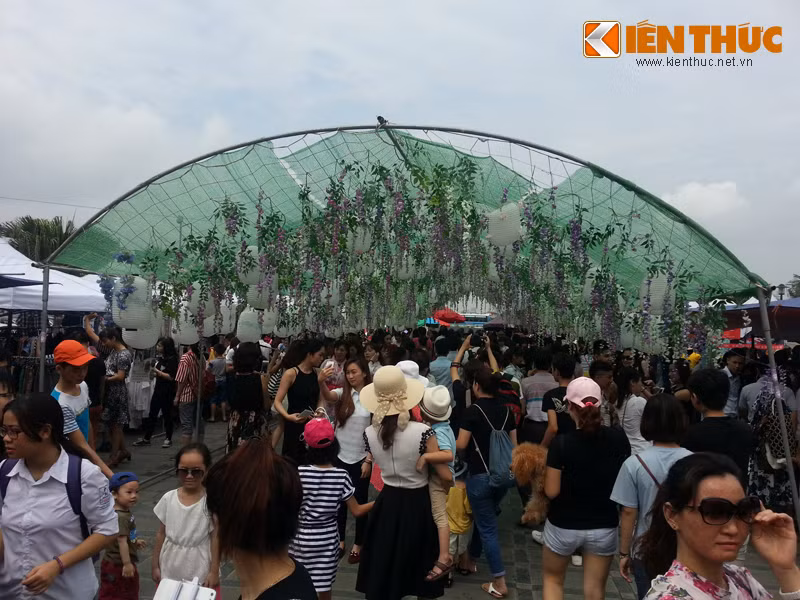 Tuy nhiên con đường hoa tử đằng dài hơn 20m thực tế là đây...