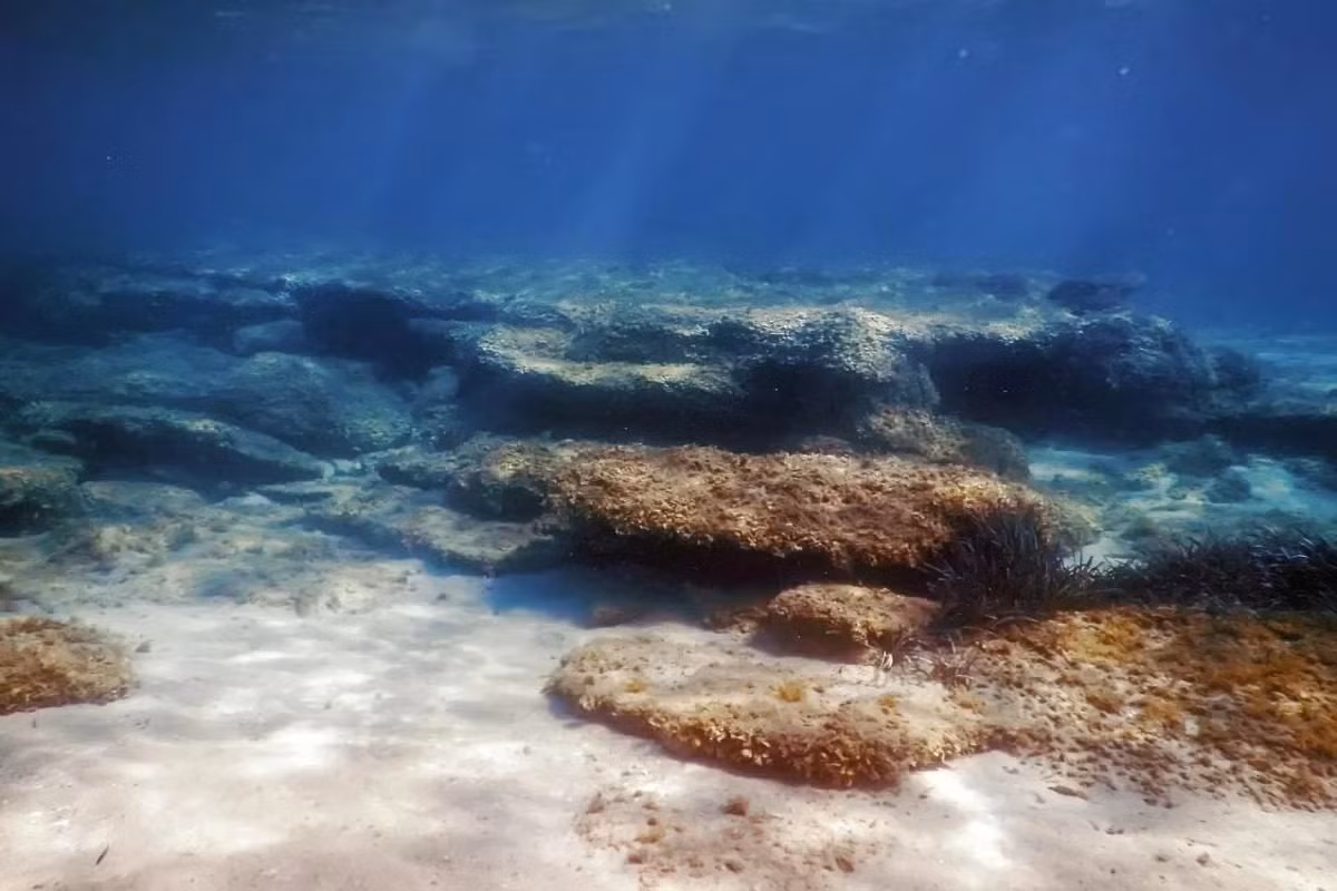 Dấu vết phóng xạ này xuất hiện ở nhiều khu vực khác nhau tại trung tâm và phía bắc Thái Bình Dương, đặt ra câu hỏi liệu đây là hiện tượng toàn cầu hay cục bộ. (Ảnh: Baku.ws)