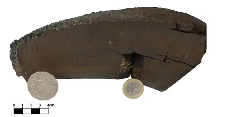 Các lớp vỏ ferromanganese dưới đáy đại dương lưu giữ dấu vết hóa học của các sự kiện vũ trụ, nhưng việc xác định niên đại chính xác gặp nhiều khó khăn. (Ảnh: theconversation)