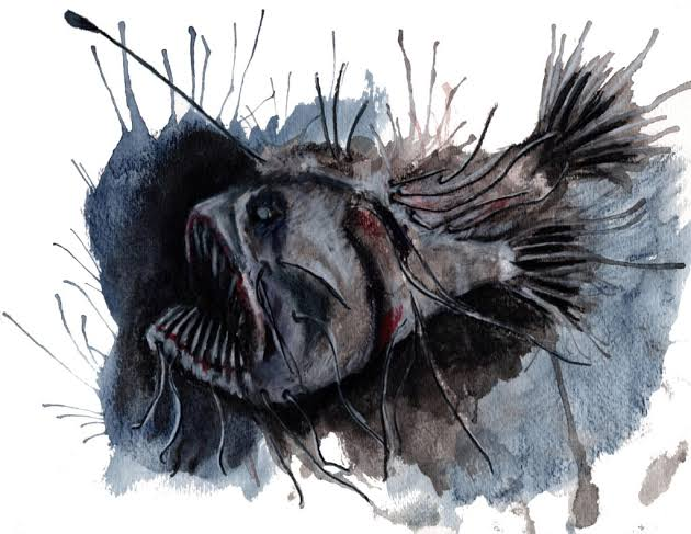 Melanocetus johnsonii sở hữu vẻ ngoài cục mịch, kì dị. Mình chúng tròn trịa như một quả bóng khiến mọi người có cảm giác chúng có thể nuốt chửng một người nào đó mà không mấy khó khăn. (Ảnh: Lindsey Munson)