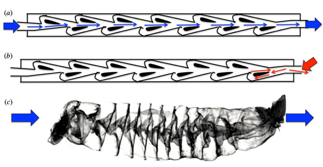 Thiết kế không cần máy bơm hay bộ phận di chuyển, mà dòng chảy vi lưu giúp kiểm soát dòng chất lỏng một chiều.(Ảnh: Pháp luật và Bạn đọc)