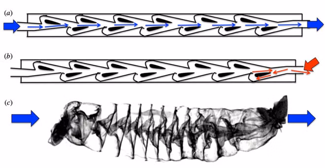 Thiết kế không cần máy bơm hay bộ phận di chuyển, mà dòng chảy vi lưu giúp kiểm soát dòng chất lỏng một chiều.(Ảnh: Pháp luật và Bạn đọc)