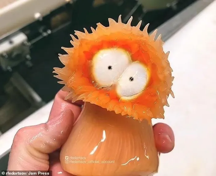 Hải quỳ: Có màu cam nổi bật và đôi mắt trắng lồi, trông giống như hoa nhưng thực chất là động vật ăn thịt. (Ảnh: Jam Press)