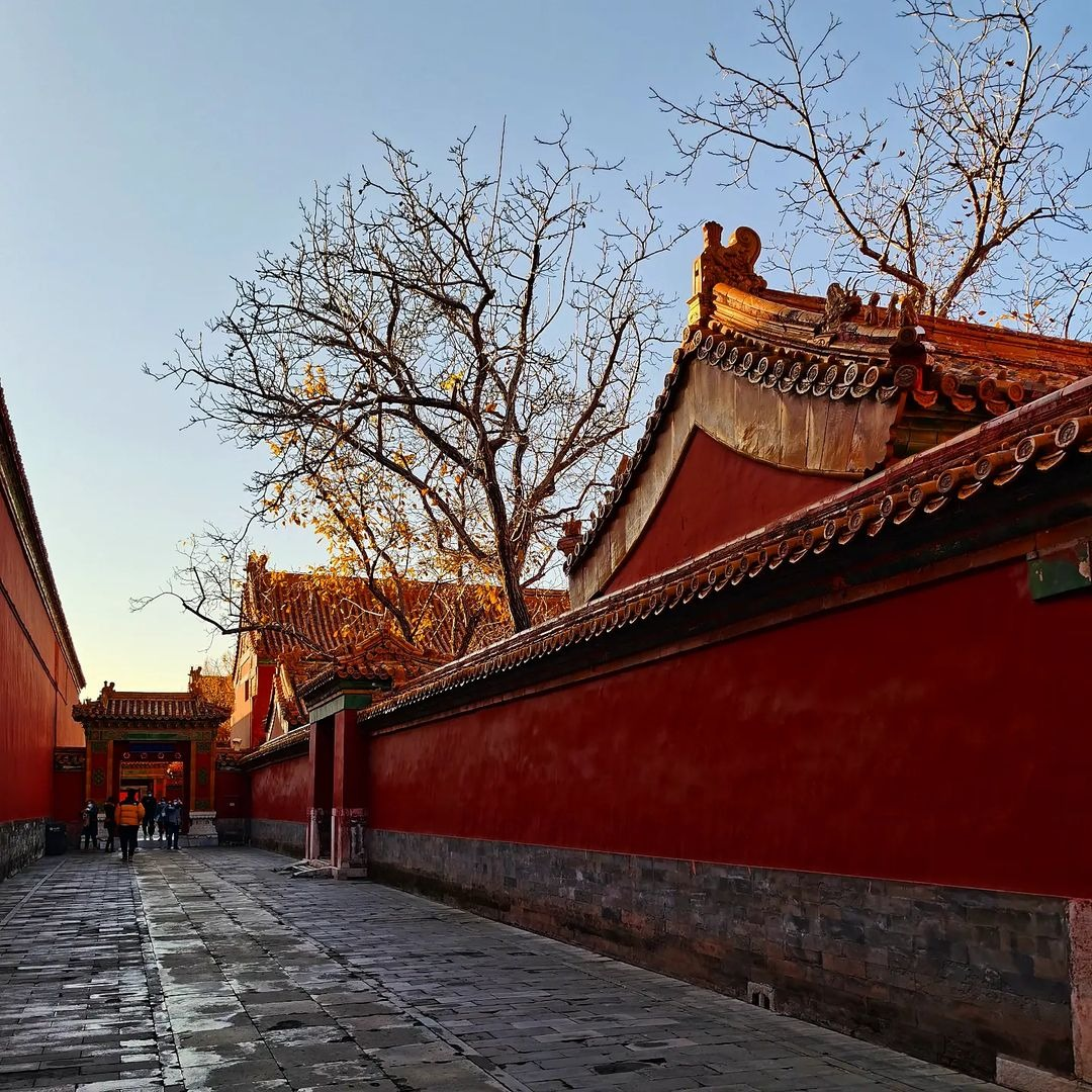 Dù có bằng chứng về việc sử dụng huyết lợn trong sơn tường, nhưng con số "60 tấn mỗi năm" vẫn chưa có tài liệu nào xác nhận. Các nhà nghiên cứu cho rằng đây chỉ là một sự phóng đại dựa trên những giai thoại truyền miệng. Trên thực tế, lượng huyết lợn sử dụng phụ thuộc vào nhu cầu trùng tu của hoàng cung, chứ không phải một con số cố định hằng năm.