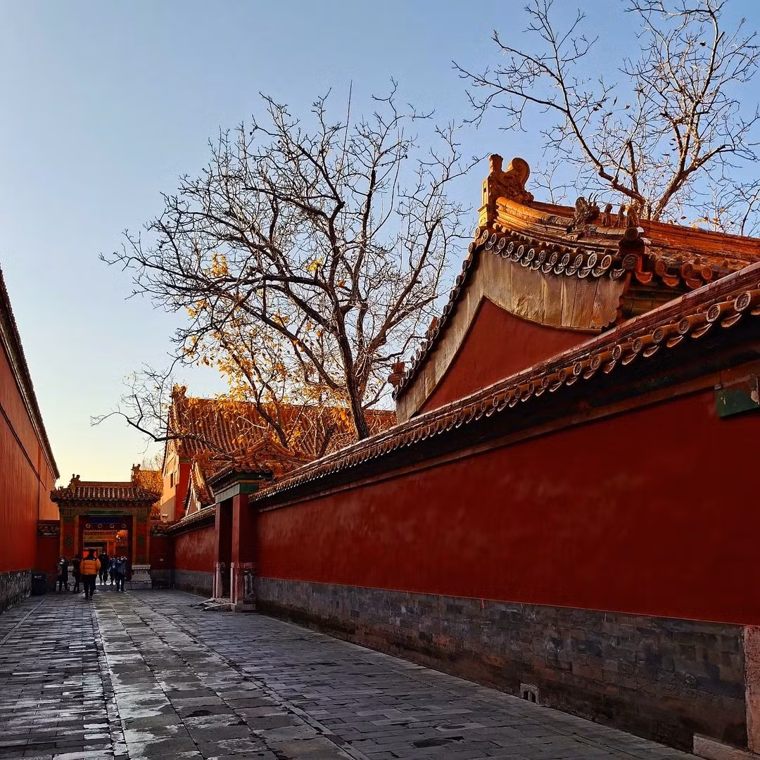 Dù có bằng chứng về việc sử dụng huyết lợn trong sơn tường, nhưng con số "60 tấn mỗi năm" vẫn chưa có tài liệu nào xác nhận. Các nhà nghiên cứu cho rằng đây chỉ là một sự phóng đại dựa trên những giai thoại truyền miệng. Trên thực tế, lượng huyết lợn sử dụng phụ thuộc vào nhu cầu trùng tu của hoàng cung, chứ không phải một con số cố định hằng năm.