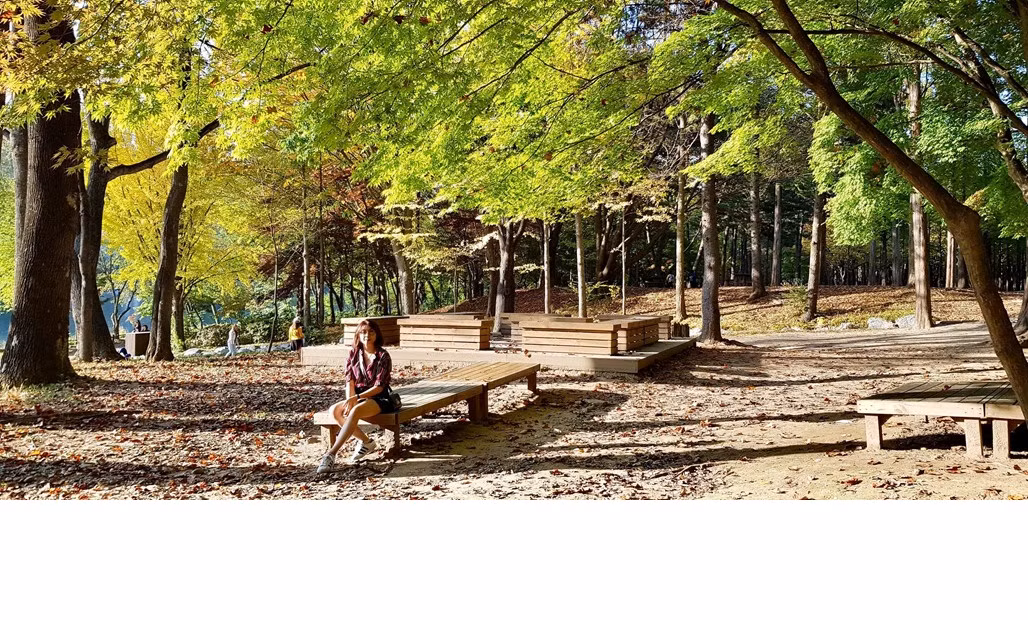 Những mảng màu muôn sắc: màu vàng, màu nâu, màu xanh...thậm chí là màu đỏ lạ mắt, tất cả tạo nên một bức tranh tuyệt diệu của thiên nhiên. Ảnh: Phương Ngân Trịnh