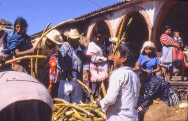 Mọi người đổ xô vào mua mía ở chợ. Ảnh VT