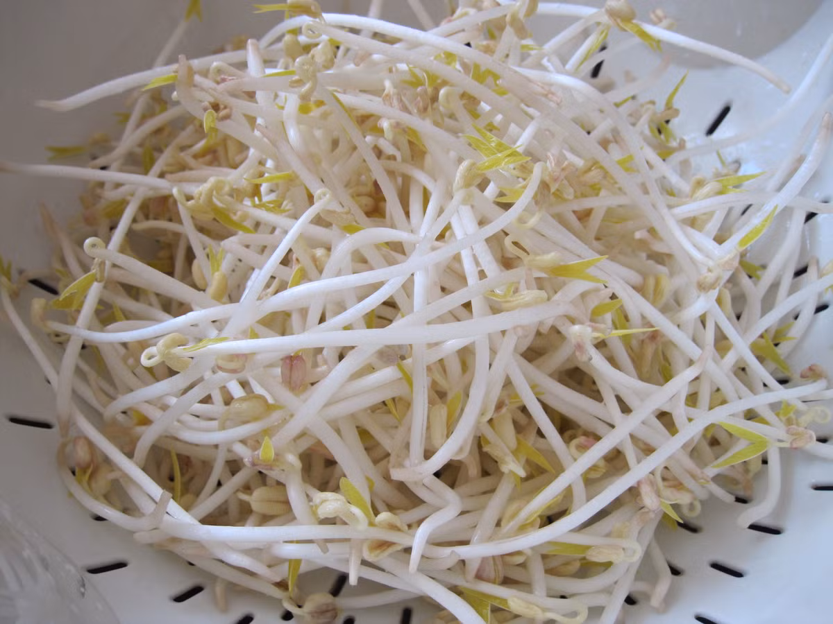 Dù nông dân làm giá khăng khăng khẳng định đây không phải là hóa chất độc hại nhằm mục đích kích thích tăng trưởng nhưng không xác minh được nguồn gốc và thành phần của hóa chất khiến nhiều người đặt ra nghi vấn của giá đỗ với sức khỏe con người. 