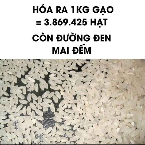 Tưởng chừng đây là công việc nhạt nhẽo thế nhưng mỗi livestream lại có cả mấy ngàn người cùng vào xem 1 lúc.