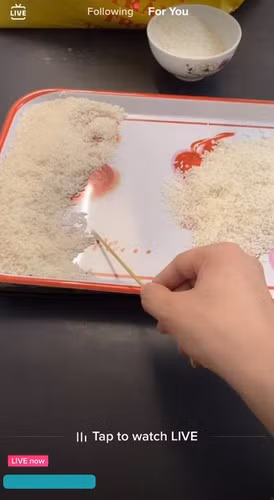 Một trong những thú vui mùa dịch hot trong thời gian vừa qua chính là giới trẻ thi nhau đếm số hạt gạo trong 1 kg.