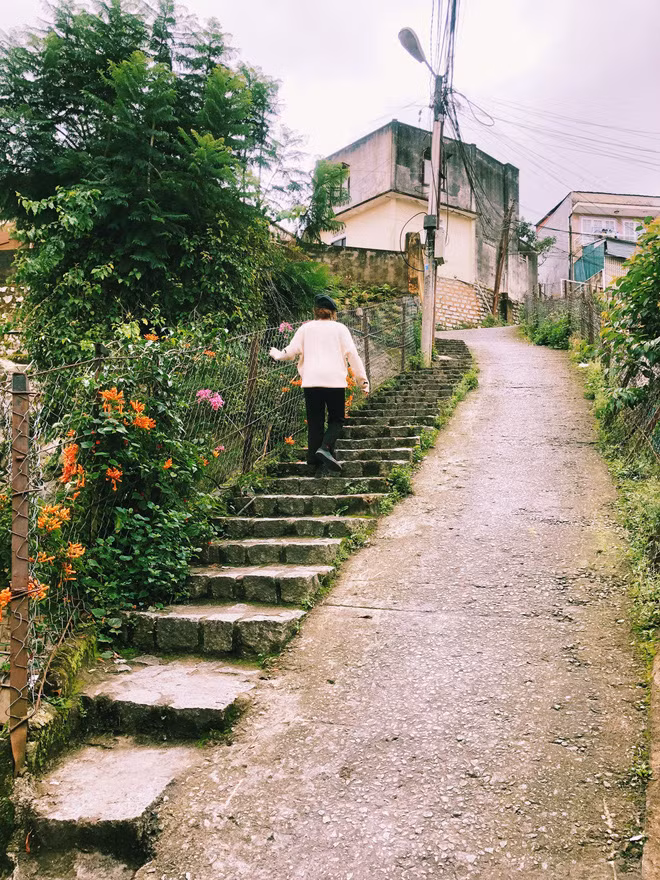 Dù chỉ dài khoảng 480m nhưng khung cảnh dốc Nhà Bò Đà Lạt thoai thoải, bậc thang rêu phong cùng hàng rào cây xung quanh trở thành background chụp ảnh lãng mạn đậm chất Đà Lạt.