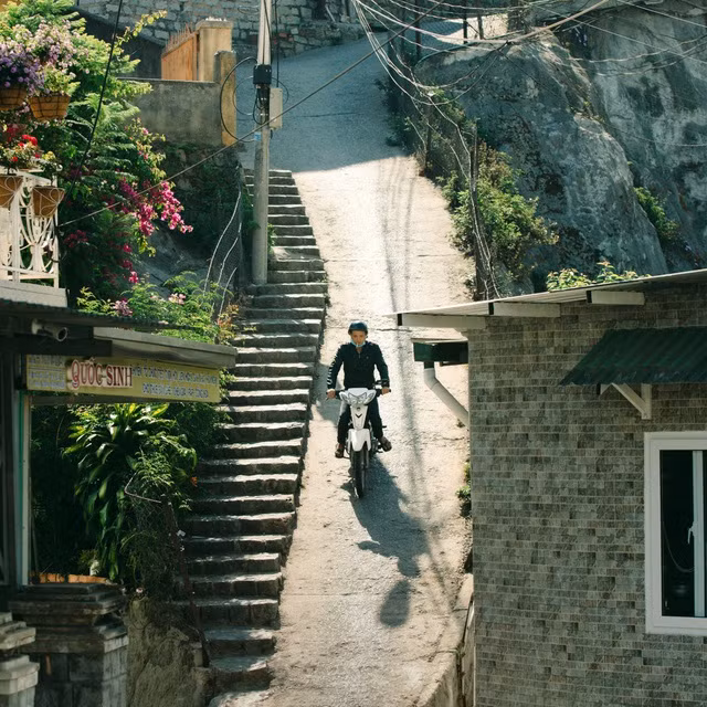 Dốc Nhà Bò được xem là địa điểm check-in nổi tiếng Đà Lạt, đây là địa điểm từng xuất hiện trong nhiều phim điện ảnh, phim truyền hình cũng như MV và các bộ ảnh đẹp.