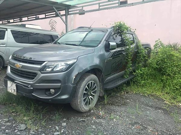 Trong thời gian dịch bệnh cũng là lúc cây cỏ, thiên nhiên cũng tận dụng để sinh sôi nảy nở.