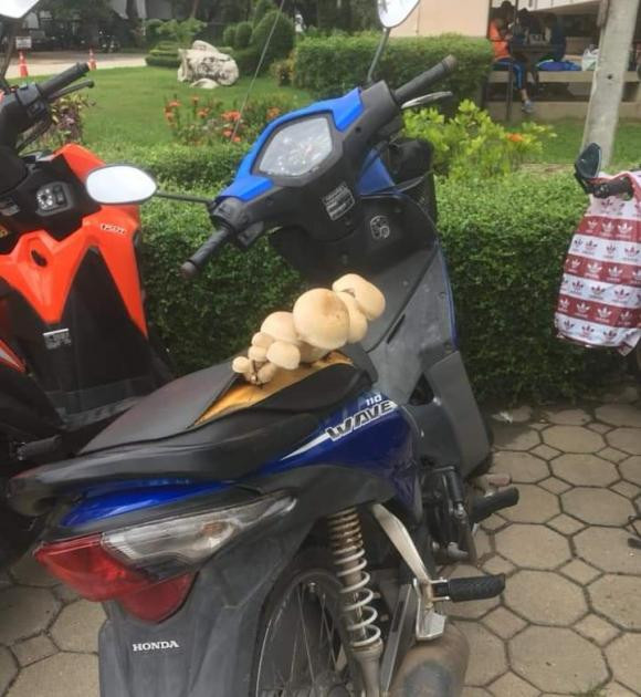 Cảnh tượng này khiến nhiều người ngạc nhiên và nhanh chóng chụp lại đăng tải lên mạng xã hội nhận được nhiều sự quan tâm.